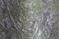 Over Peover fibreglass roof work